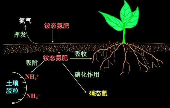 土壤氮磷鉀檢測(cè)方法